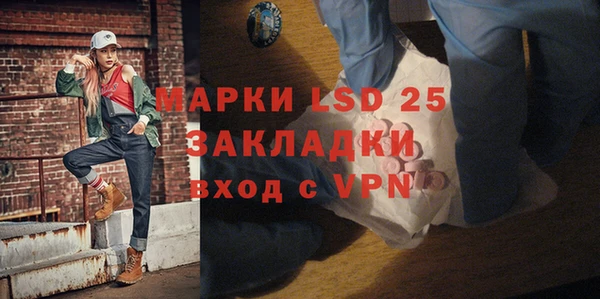 крисы Алзамай